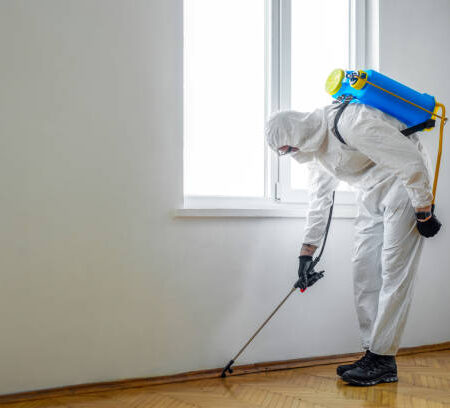Exterminator in work spraying pesticide or insecticide with sprayer Exterminator in work spraying pesticide or insecticide with sprayer
