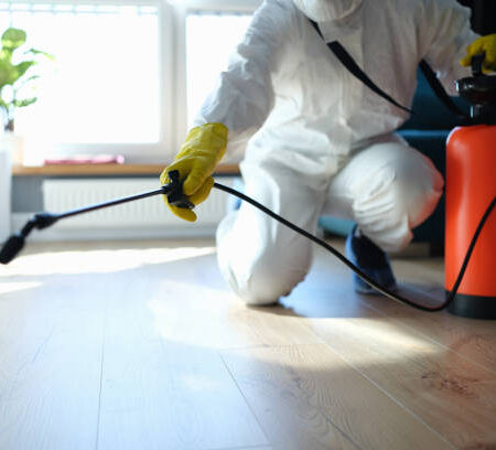 p3 isinfection of premises from insects and rodents with chemicals. Plumber spray on the background of apartment and pest control